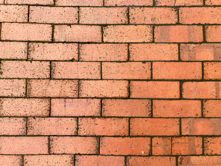 Grey and empty concrete wall, providing a neutral canvas for your creative endeavors.の写真素材