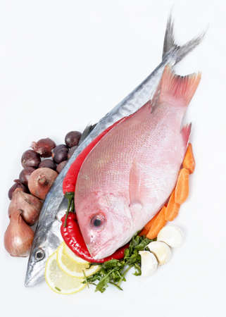 Variety of Fresh Sea Food. Mackerel, Red Snapper, Shrimp and Squid. の写真素材