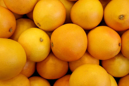 Fresh Orange Background の写真素材
