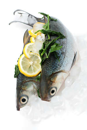 Fresh Sea Bass on Ice