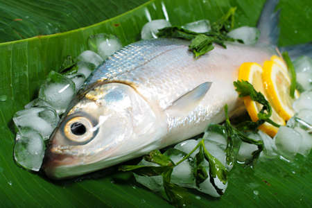 Fresh sea bass on banana leaf 