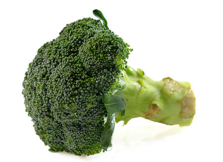 Broccoli isolated on a white backgroundの写真素材