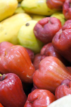 Red rose apple             の写真素材