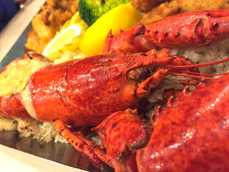 lobster on dish with rice and lemon slicesの写真素材