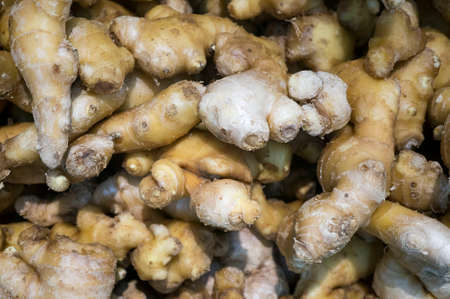 Fresh Ginger backgroundの写真素材