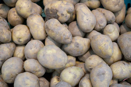 Fresh Potato Backgroundの写真素材