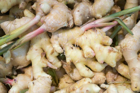 Fresh Ginger with leave backgroundの写真素材