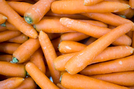 fresh carrots in bulkの写真素材