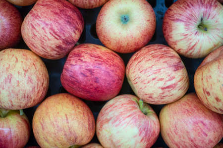 apples on the shelvesの写真素材