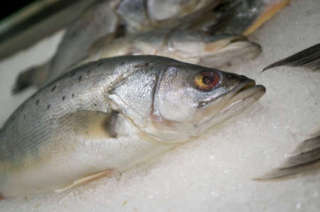 supermarket fresh fishの写真素材