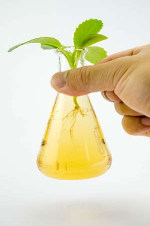 lab tested plant base, certified organicの写真素材
