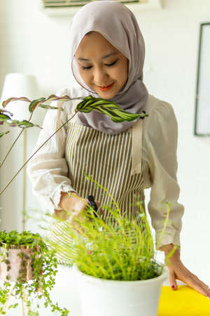 Lifestyle at home, Cute malay woman doing gardening indoorの写真素材