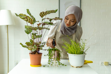 Lifestyle at home, Cute malay woman doing gardening indoorの写真素材
