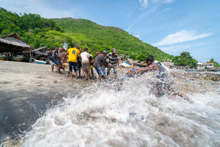 LAMALERA, NUSA TENGGARA, INDONESIA - DEC 13, 2018: The local villager are pulling pilot whale from...