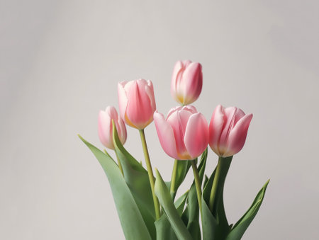Pink tulips spring flower background Symbols of love for Happy Women's, Mother's, Valentine's Day, birthday, copy space,の素材