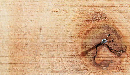 wood backgroundの写真素材
