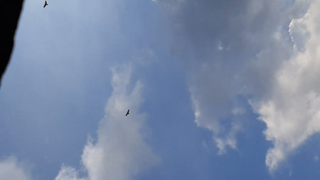 panoramic views of blue skies and cool clouds