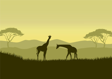 Giraffe silhouettes in savanna landscape vector illustrationのイラスト素材