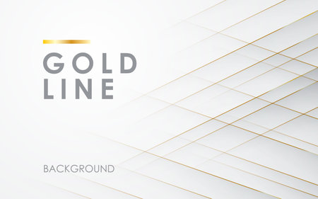 Modern abstract light silver background vector. Elegant concept design with golden line.のイラスト素材