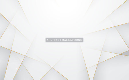 Modern abstract light silver background vector. Elegant concept design with golden line.の写真素材
