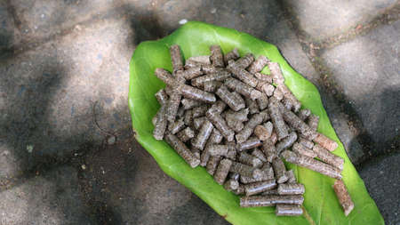 Wood pellets piled on slightly dry leaves