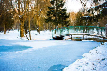 Winter scene of a lake and forestの写真素材