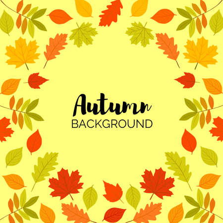 Autumn leaves Background vectorのイラスト素材