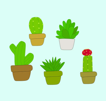 Doodle cactus and succulents vectorのイラスト素材