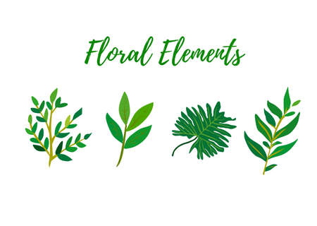 Floral Elements Vectorのイラスト素材
