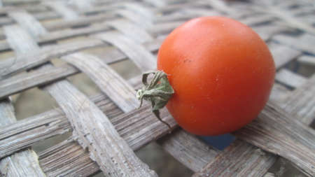 tomato stock pohoの写真素材