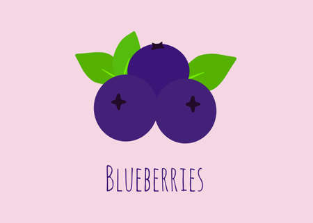 Blueberries vector ilustration with leavesのイラスト素材