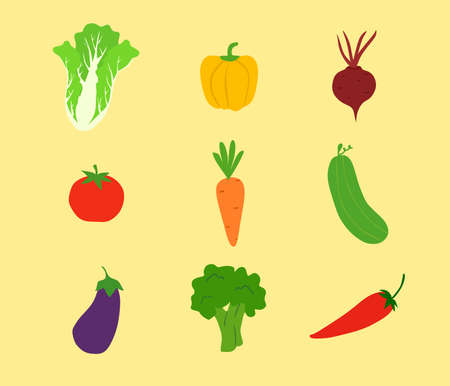 vegetable vector collection.  Chinese cabbage, paprika, beet, tomato, carrot, cucumber, eggplant,brocoli, and chili.のイラスト素材