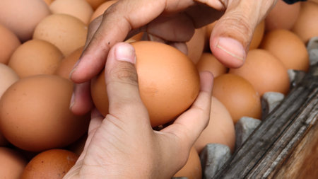 Stacks Of Fresh Eggs