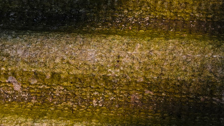 Close up of texture of house roof. abstract background of patternの写真素材