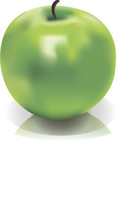 Picture of isolated green apple meshのイラスト素材
