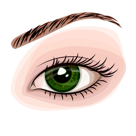Woman green beautiful eyeのイラスト素材