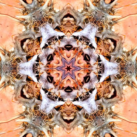 multicolored ornamental pattern