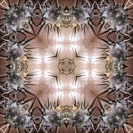 multicolored ornamental patternの写真素材