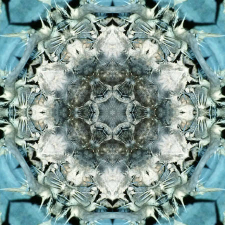 multicolored ornamental pattern