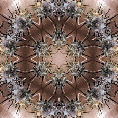 multicolored ornamental patternの写真素材