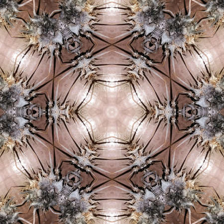 multicolored ornamental patternの写真素材