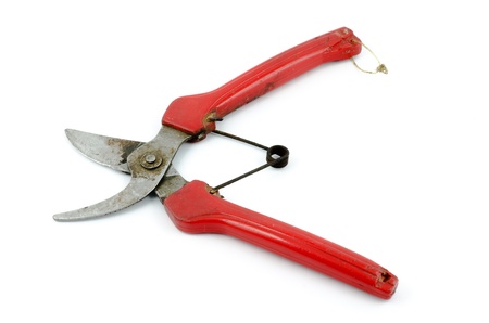 rusty gardening scissors 