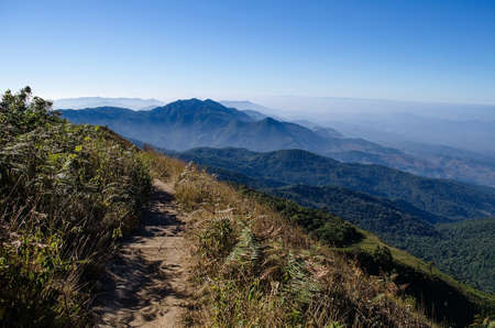 Path way on mountain at Inthanon national park, Chiangmai Thailandの写真素材