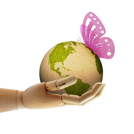 butterfly land on paper earthの写真素材
