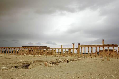 Panorama of Palmyra, Syriaの写真素材
