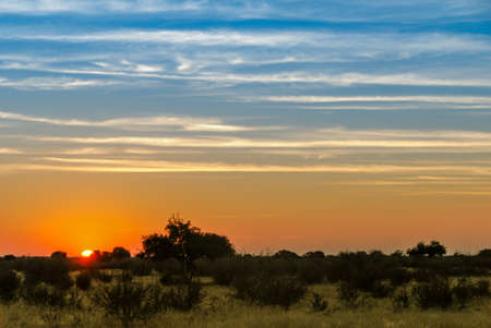 Sunset on the red Kalahari desert with a blue and orange sky in southern Namibia, Africaの写真素材