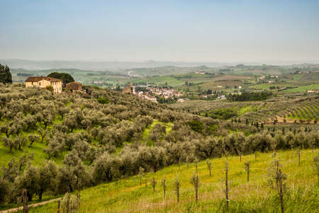 Tuscanian Landscape near Vinci, Tuscany, Italy, Europeの写真素材