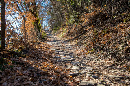 Ancient roman "Ochsentodweg" (Path of the dead of the oxes) in the village of Tirol, near Merano, Sout Tyrol, Italyの写真素材