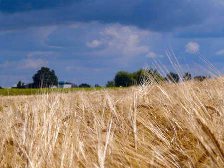 countrysideの写真素材