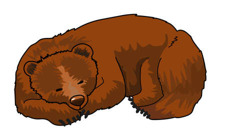 Sleeping brown bear on a white background.のイラスト素材